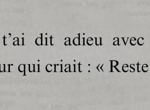 Les adieux les plus douloureux sont ceux qui n’ont jamais été prononcés.